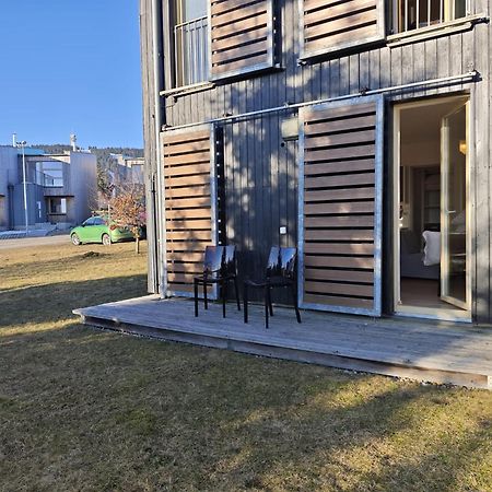 Apartman Sova - Klinovec Loučná pod Klínovcem Eksteriør billede