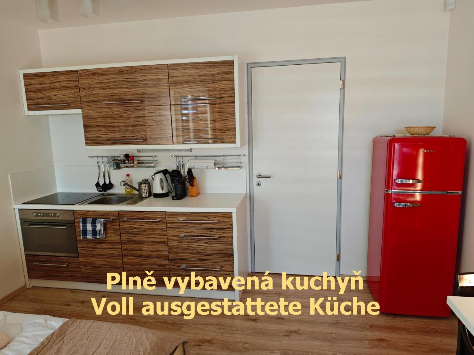 Apartman Sova - Klinovec Loučná pod Klínovcem Eksteriør billede